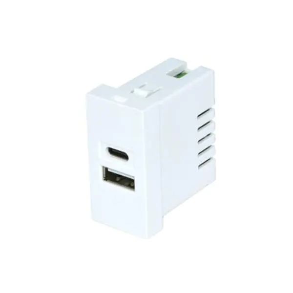 Mahanga Tauranga MomoA+C Usb Charger Socket Module